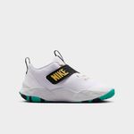 Nike Team Hustle D 12-1778528200324