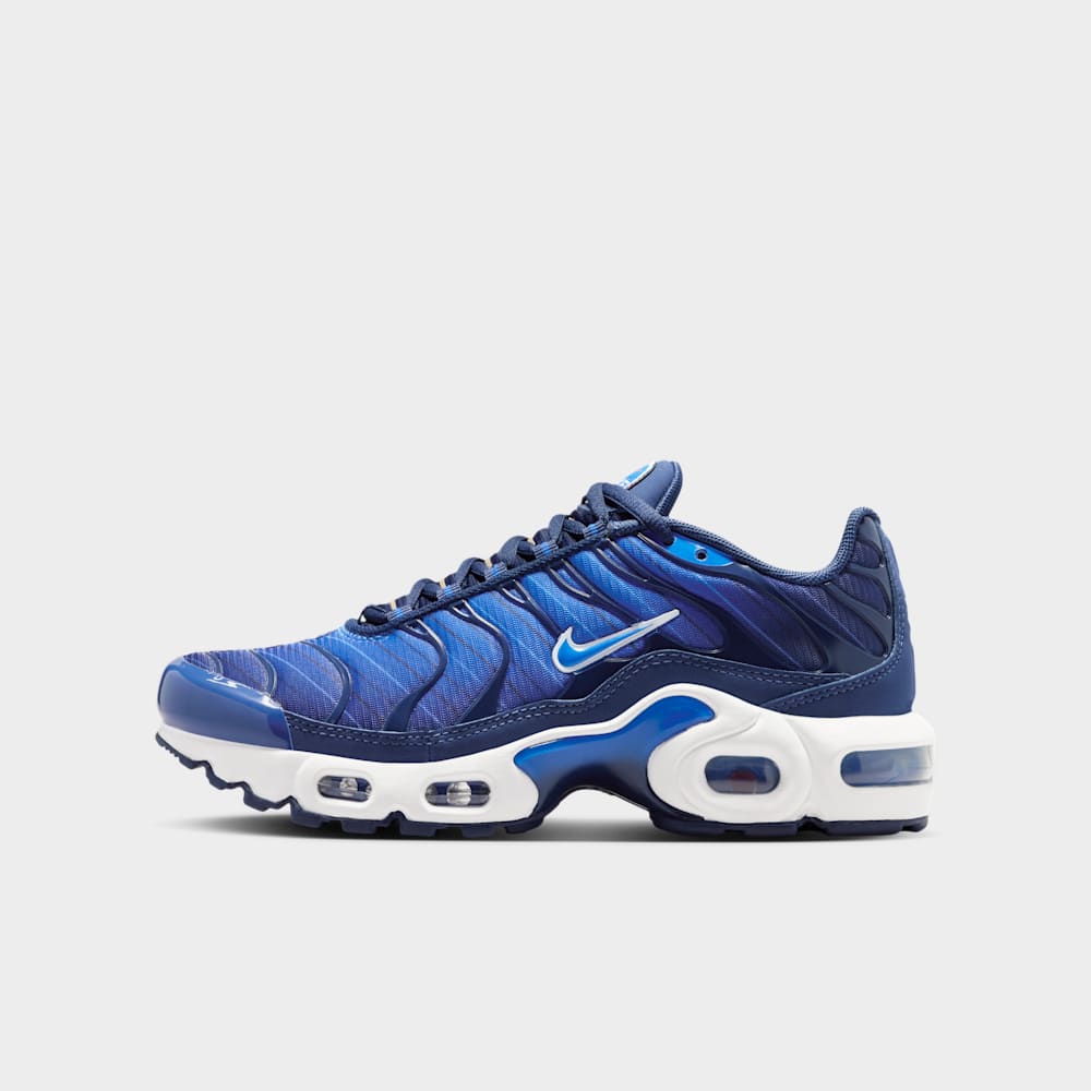 Nike Air Max Plus SE
