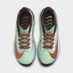 Nike Zoom Fly 6-1788364068905