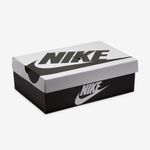 nike-dunk-low-retro