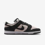 nike-dunk-low-retro-se