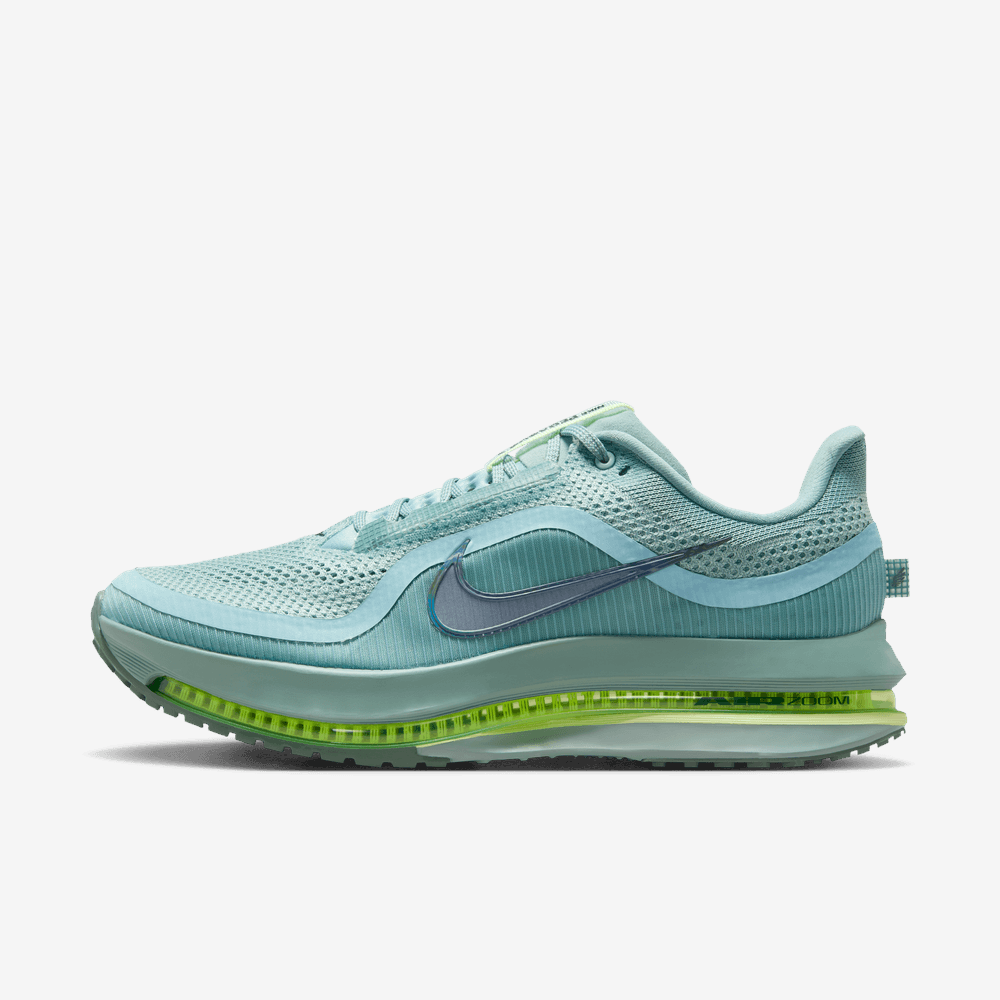Nike Pegasus Premium