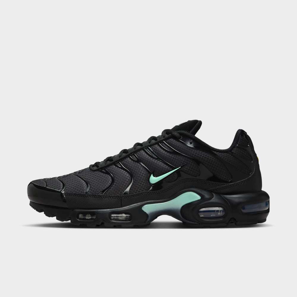 Nike Air Max Plus