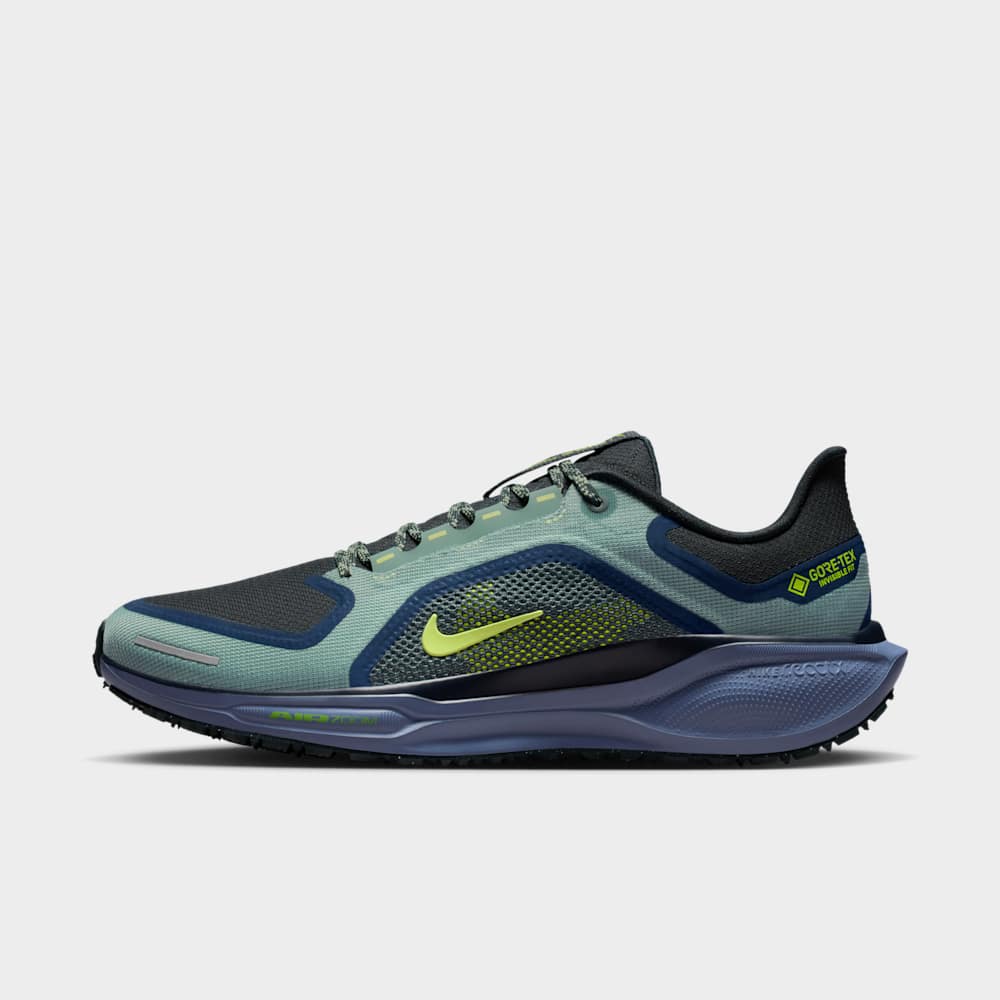 Nike Pegasus 41 Gore-Tex