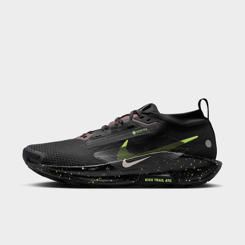 Nike Pegasus Trail 5 GORE-TEX